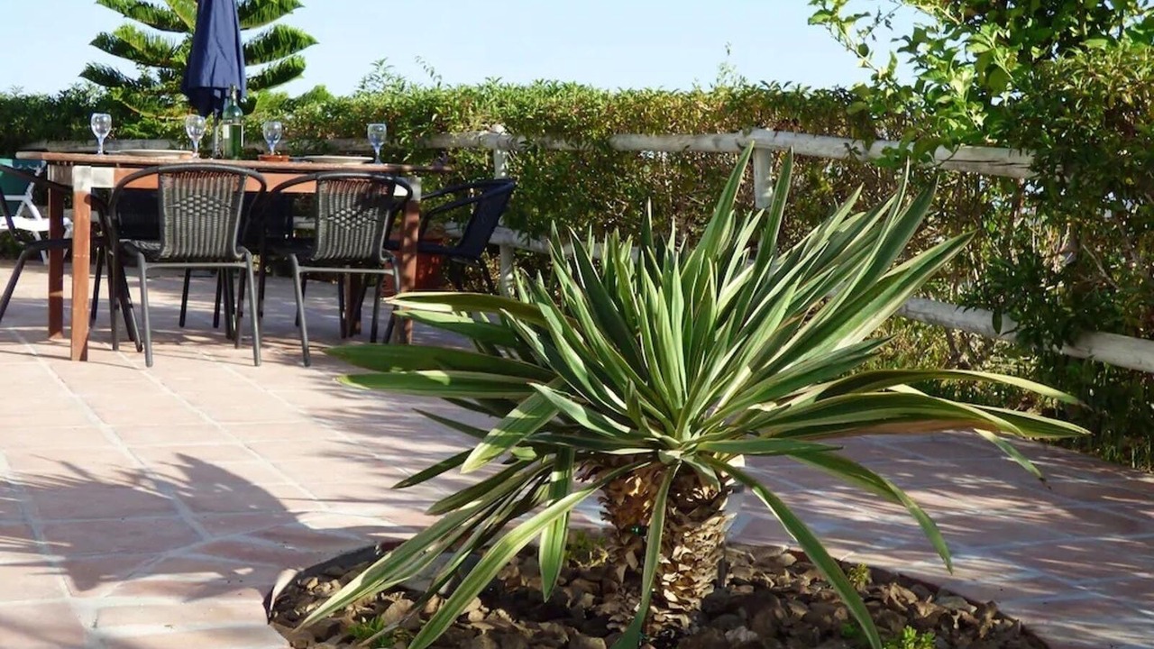 Photo of Outdoor in Competa