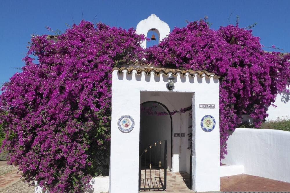 Photo of Outdoor in Montoro