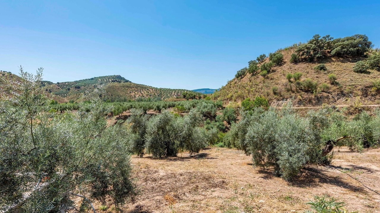 Photo of Outdoor in Priego de Cordoba