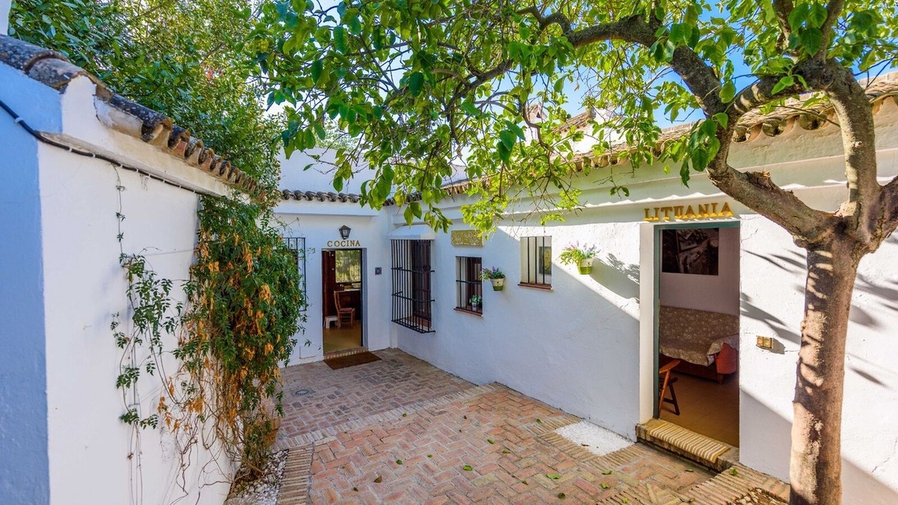 Photo of Outdoor in Olivares