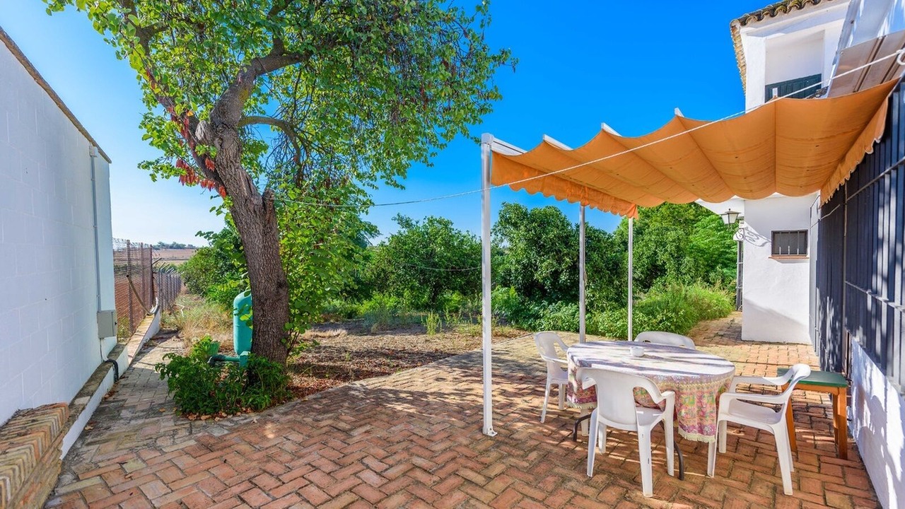 Photo of Outdoor in Olivares