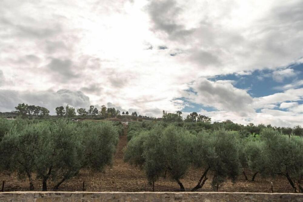 Photo of Outdoor in Olvera