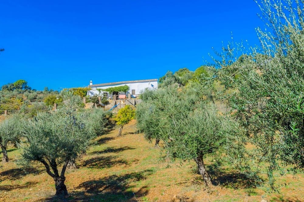 Photo of Outdoor in Cazalla De La Sierra