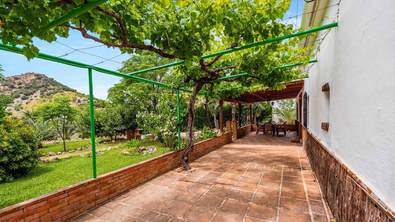 Photo of Outdoor in Alora