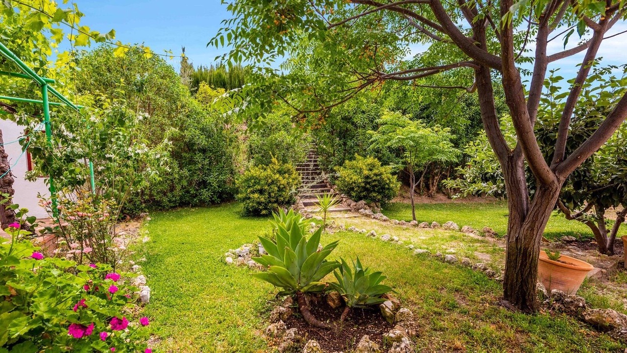 Photo of Outdoor in Alora
