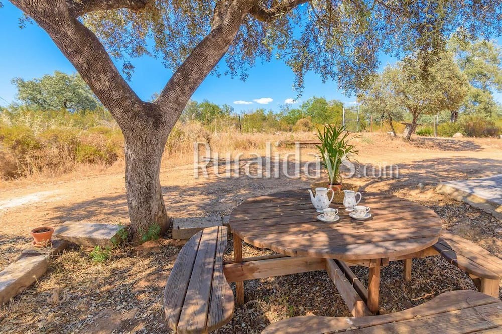 Photo of Outdoor in El Garrobo