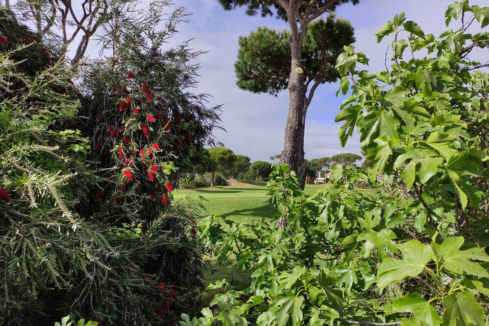 Photo of Outdoor in Cartaya