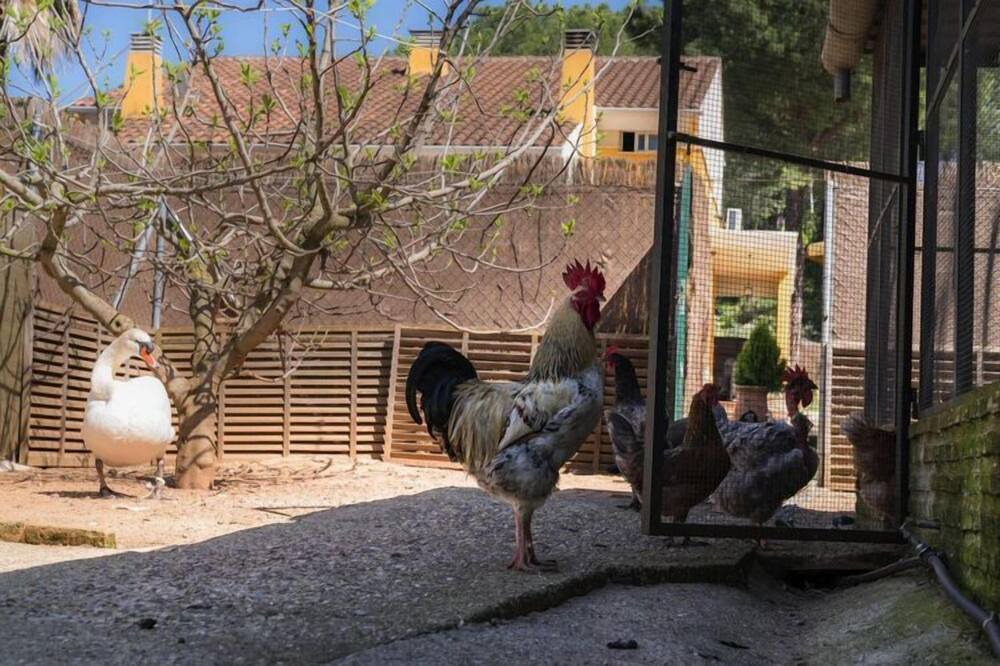 Photo of Others in Las Jaras