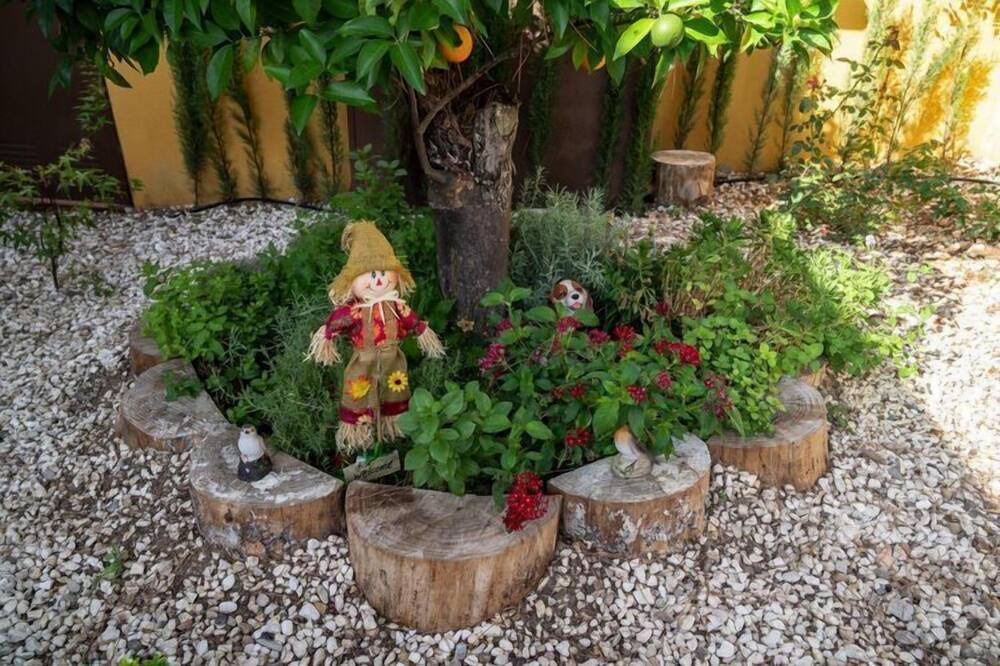 Photo of Outdoor in Las Jaras
