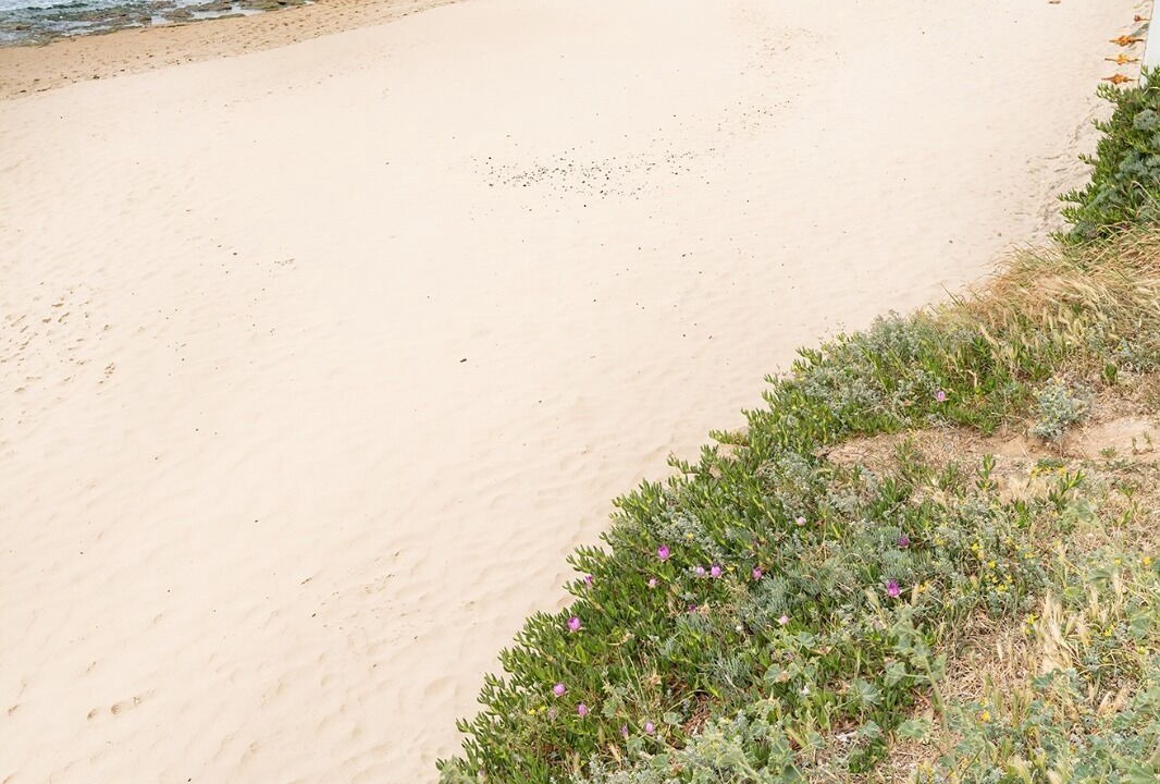 Photo of Others in El Puerto de Santa Maria