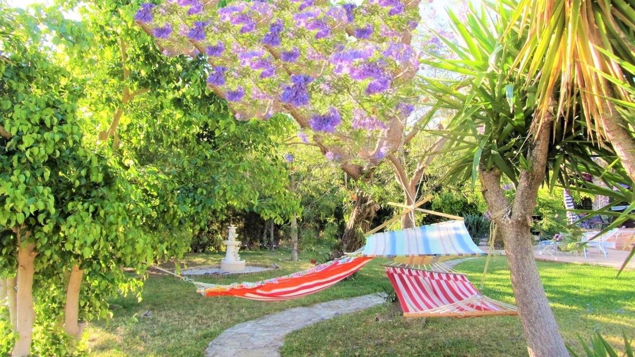 Photo of Outdoor in Canillas de Aceituno