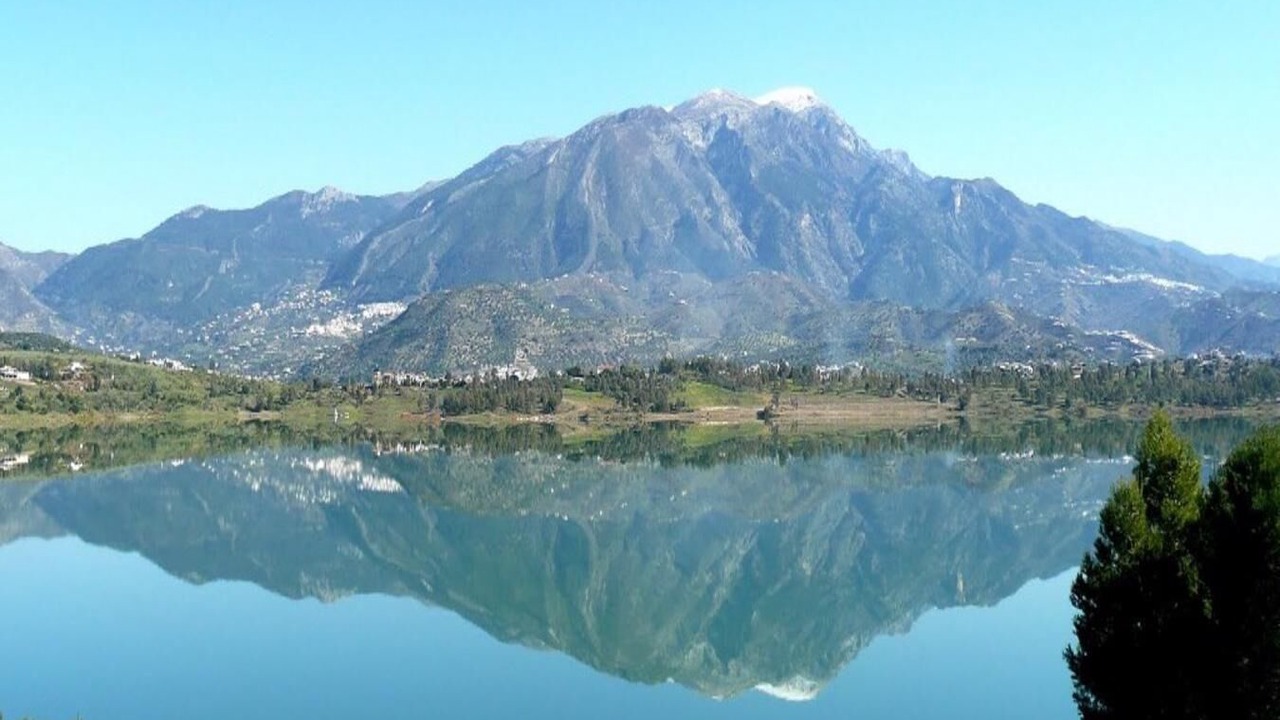 Photo of Others in Canillas de Aceituno