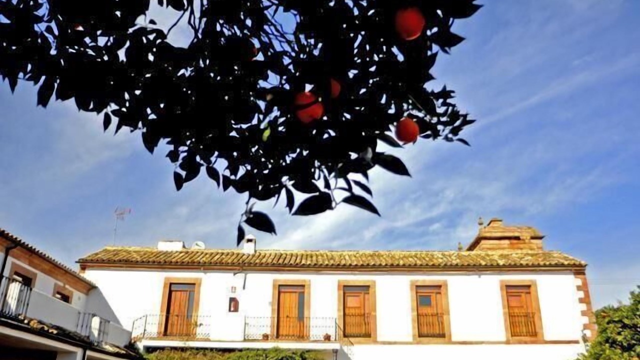 Photo of Outdoor in Montoro