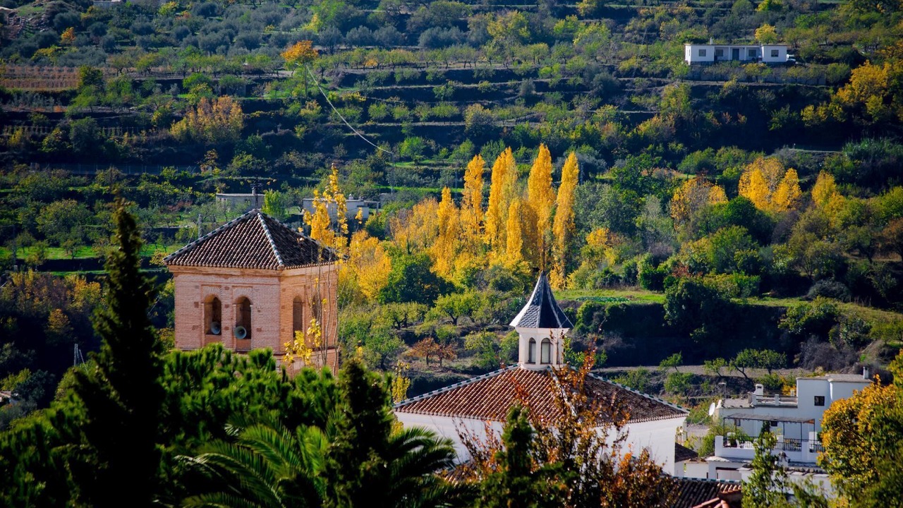 Photo of Outdoor in Nechite