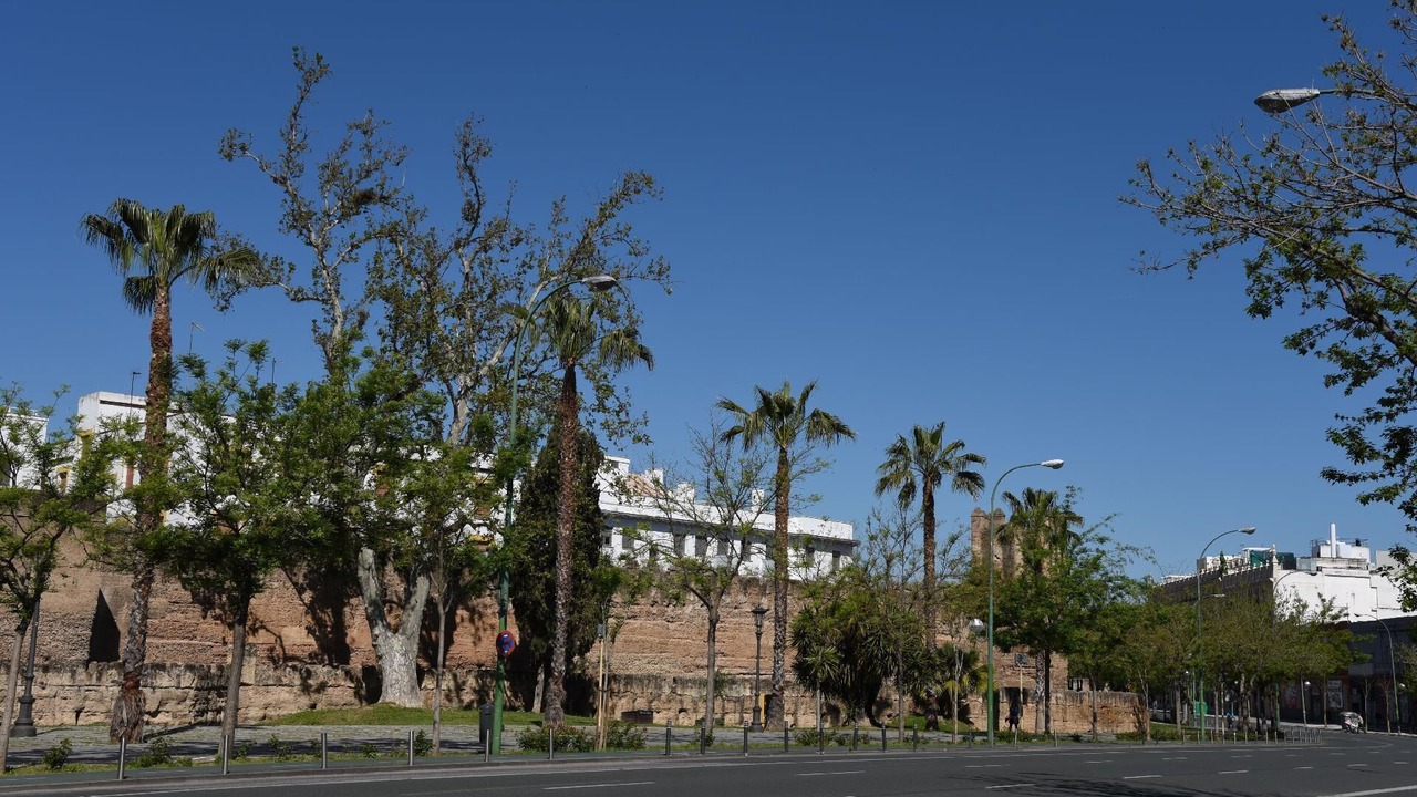 Photo of Others in Cruz Roja-Capuchinos