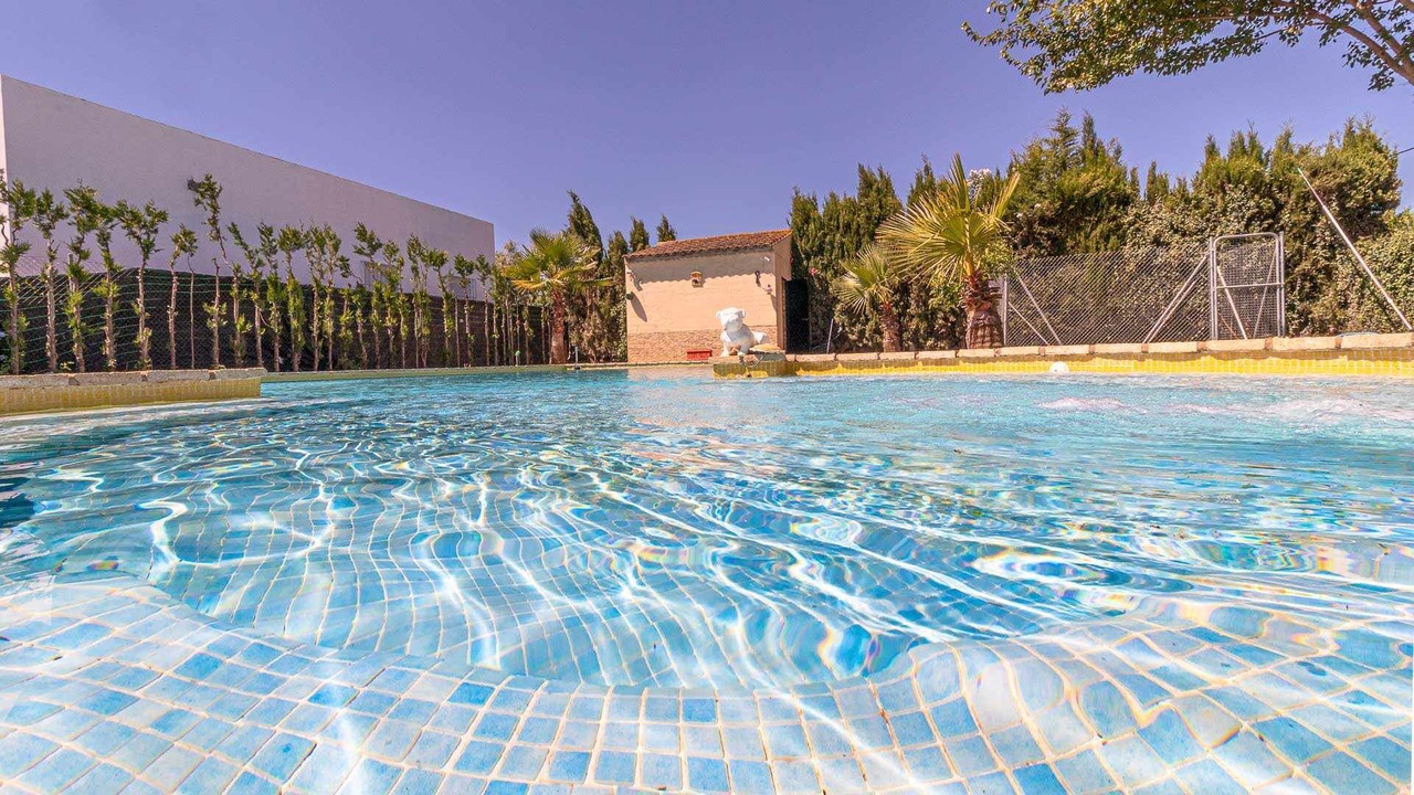 Photo of Outdoor in Marchena