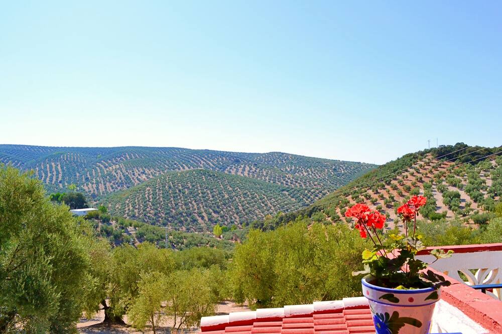 Photo of Others in Villanueva de Algaidas
