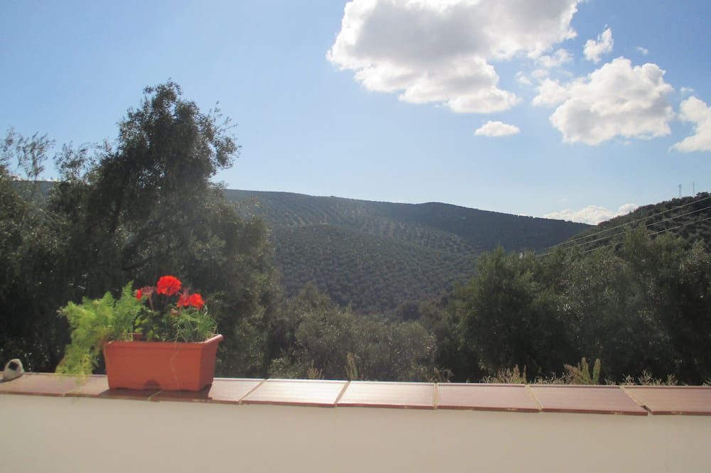 Photo of Others in Villanueva de Algaidas