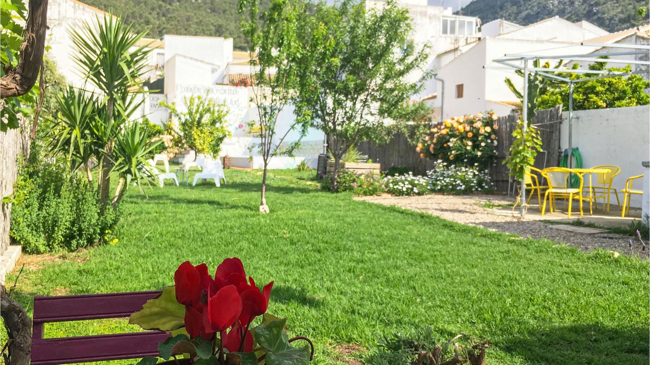 Photo of Outdoor in Algodonales