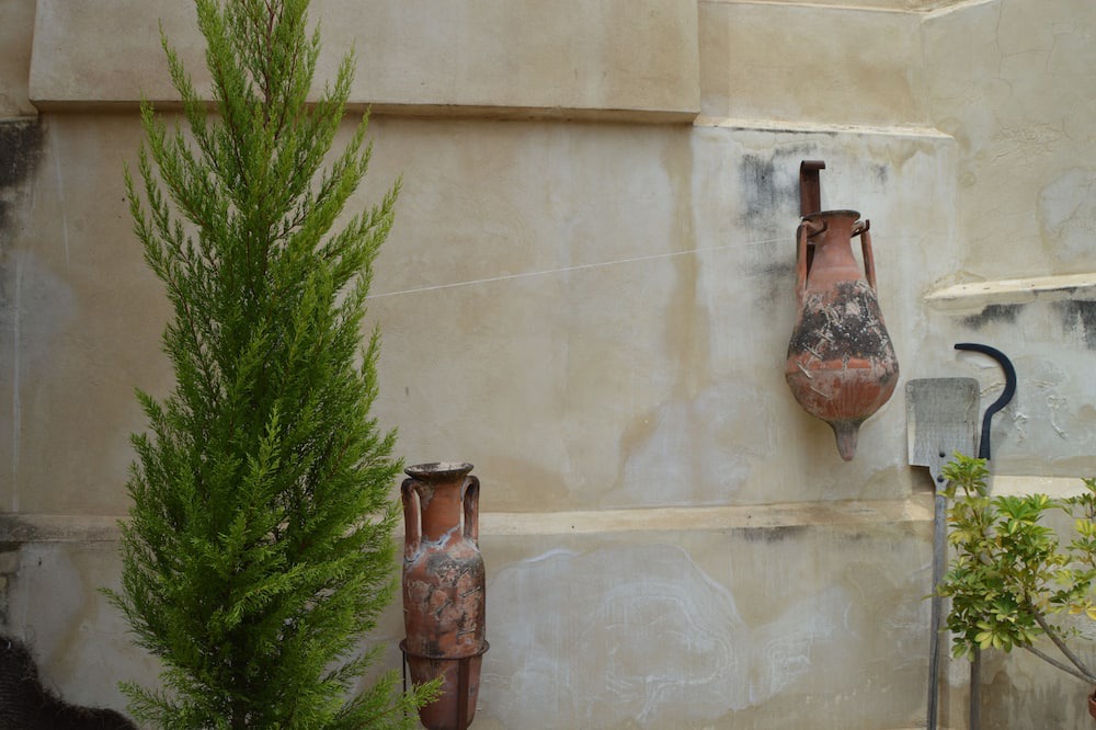 Photo of Bathroom in Montemayor