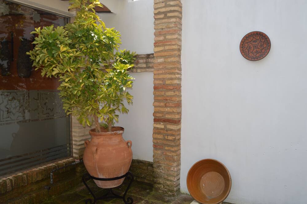 Photo of Others in Montemayor