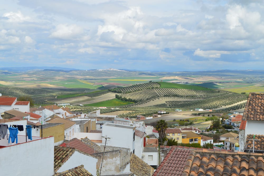 Photo of Others in Montemayor
