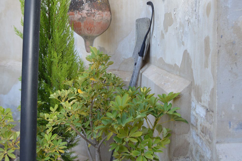 Photo of Others in Montemayor