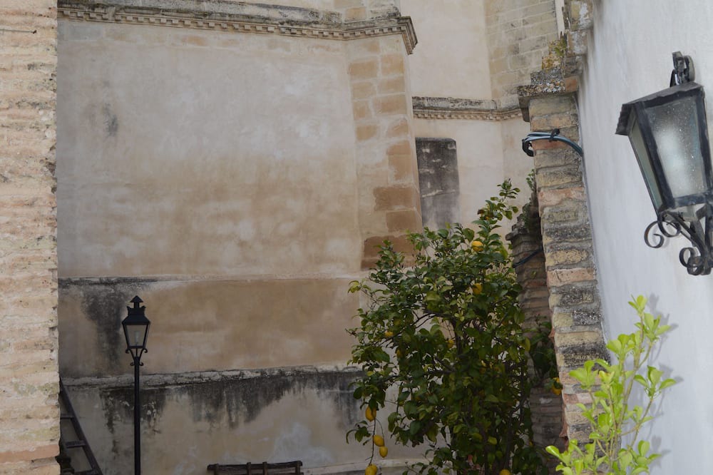 Photo of Outdoor in Montemayor