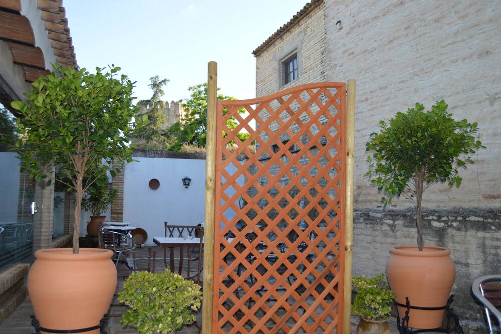 Photo of Outdoor in Montemayor