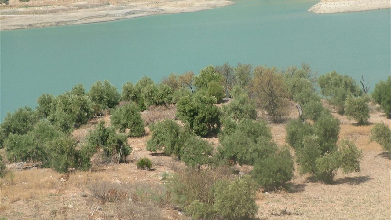 Photo of Others in Pruna