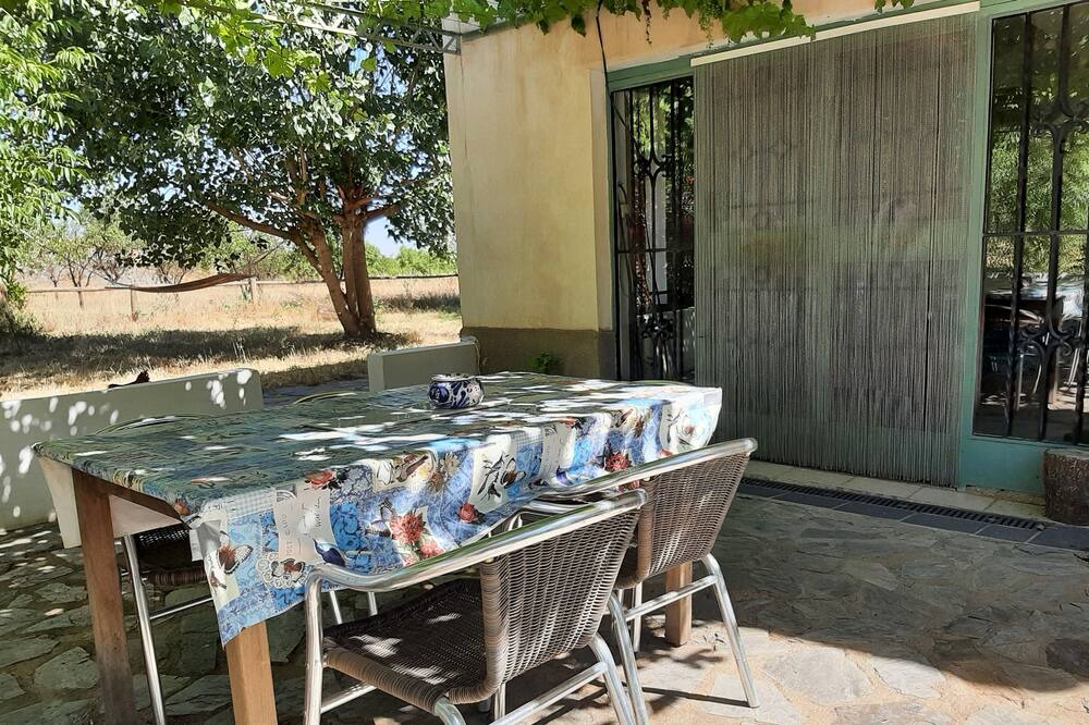 Photo of Patio Balcony in Alquife