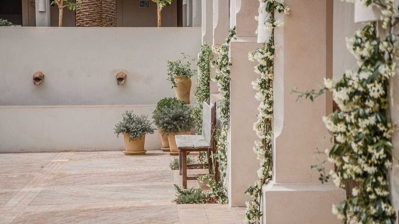 Photo of Patio Balcony in Monesterio
