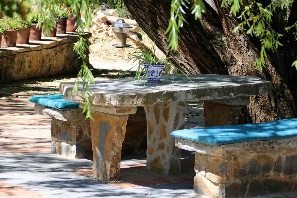 Photo of Outdoor in Jimera de Libar