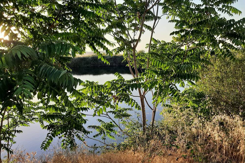 Photo of Outdoor in Alquife
