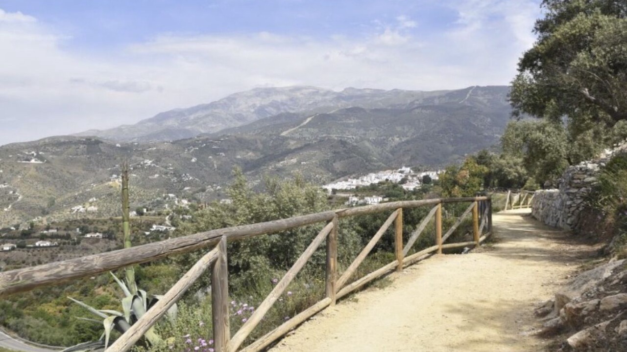 Photo of Others in Canillas de Albaida