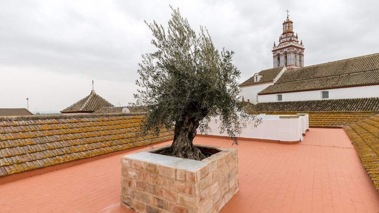 Photo of Outdoor in Fuentes de Andalucia