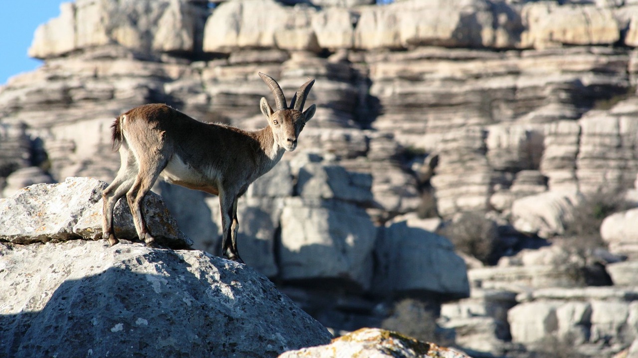 Photo of Outdoor in Antequera