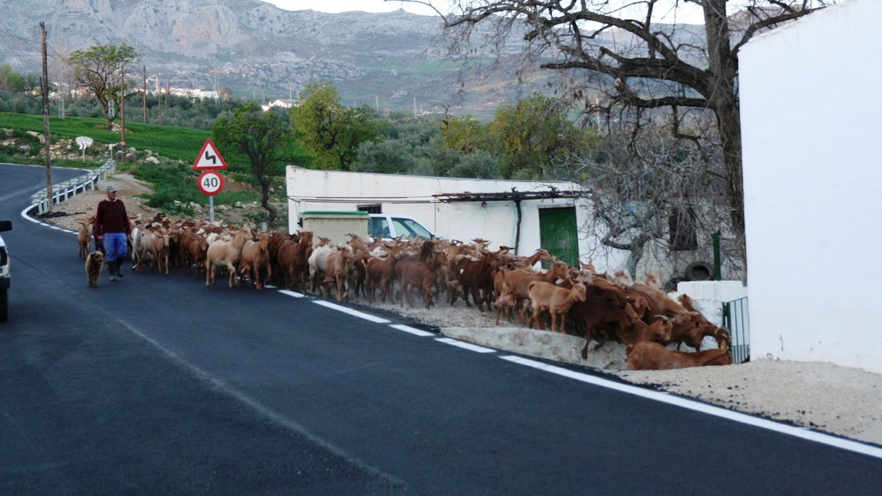 Photo of Outdoor in Antequera