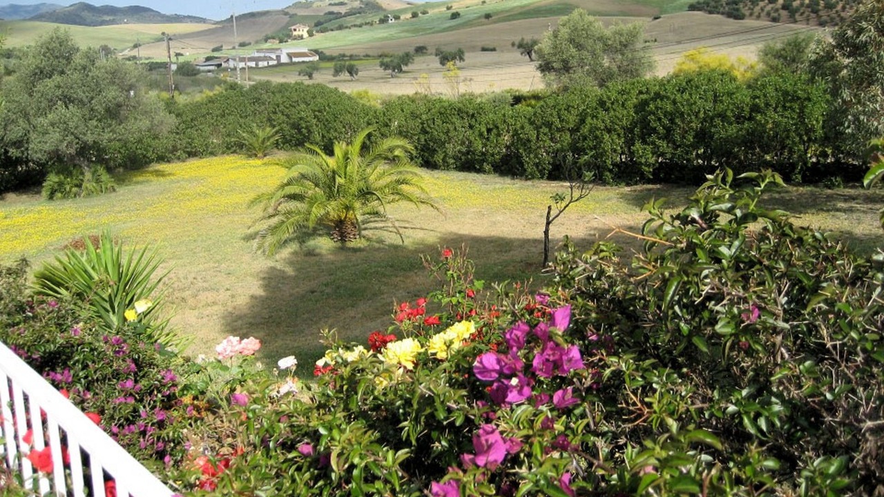 Photo of Outdoor in Almogia