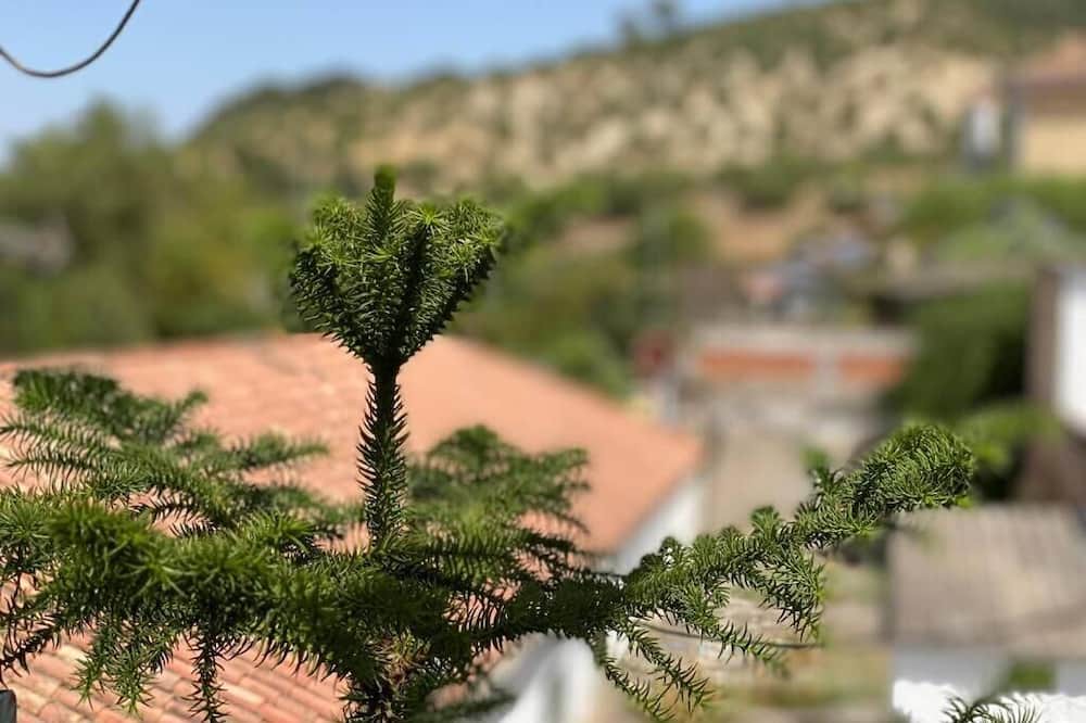 Photo of Outdoor in El Bosque