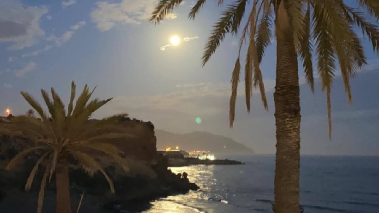 Photo of Others in Puerto de Mazarron