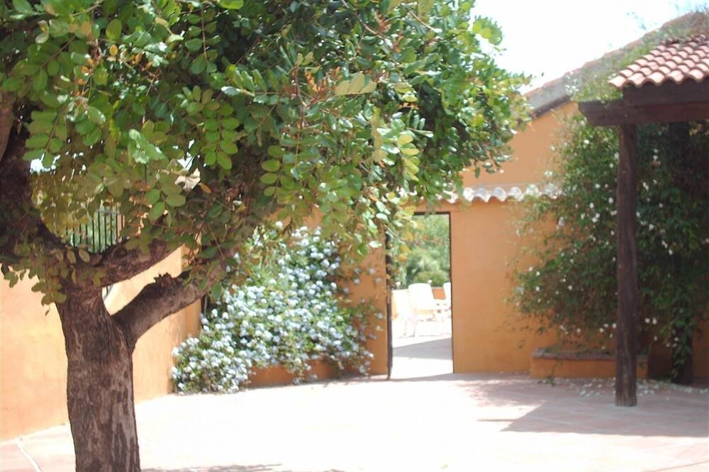 Photo of Outdoor in Coin