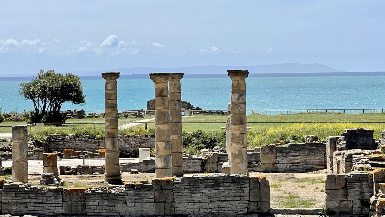 Photo of Others in Tarifa