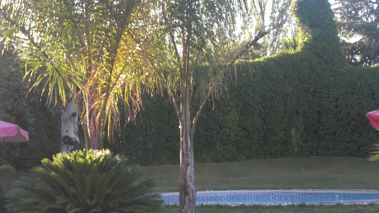 Photo of Outdoor in Montilla