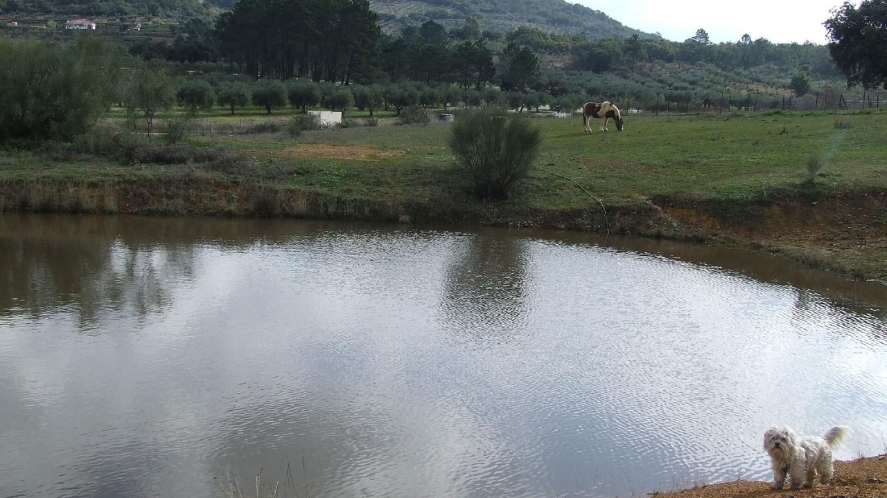 Photo of Others in Alcuescar