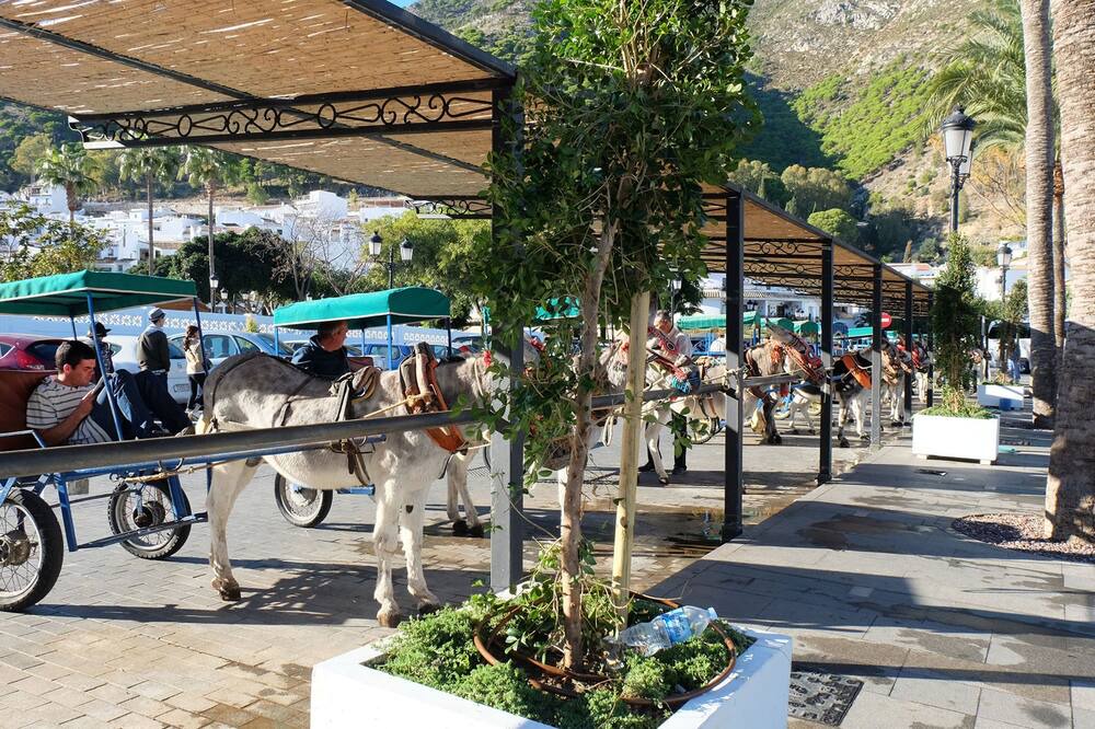 Photo of Outdoor in Pinos de Alhaurin