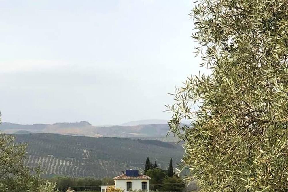 Photo of Outdoor in Villanueva del Rosario