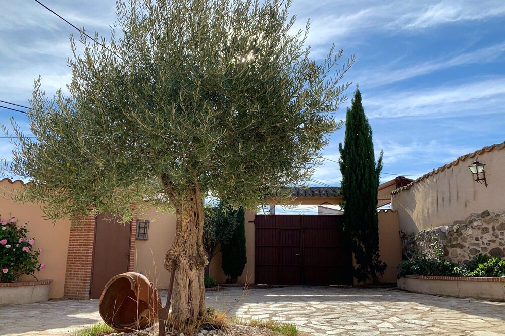 Photo of Outdoor in Aldehuela de la Boveda