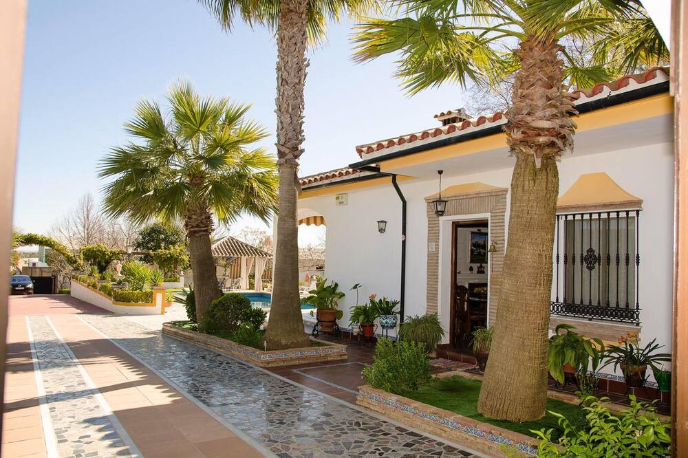 Photo of Outdoor in Montemayor