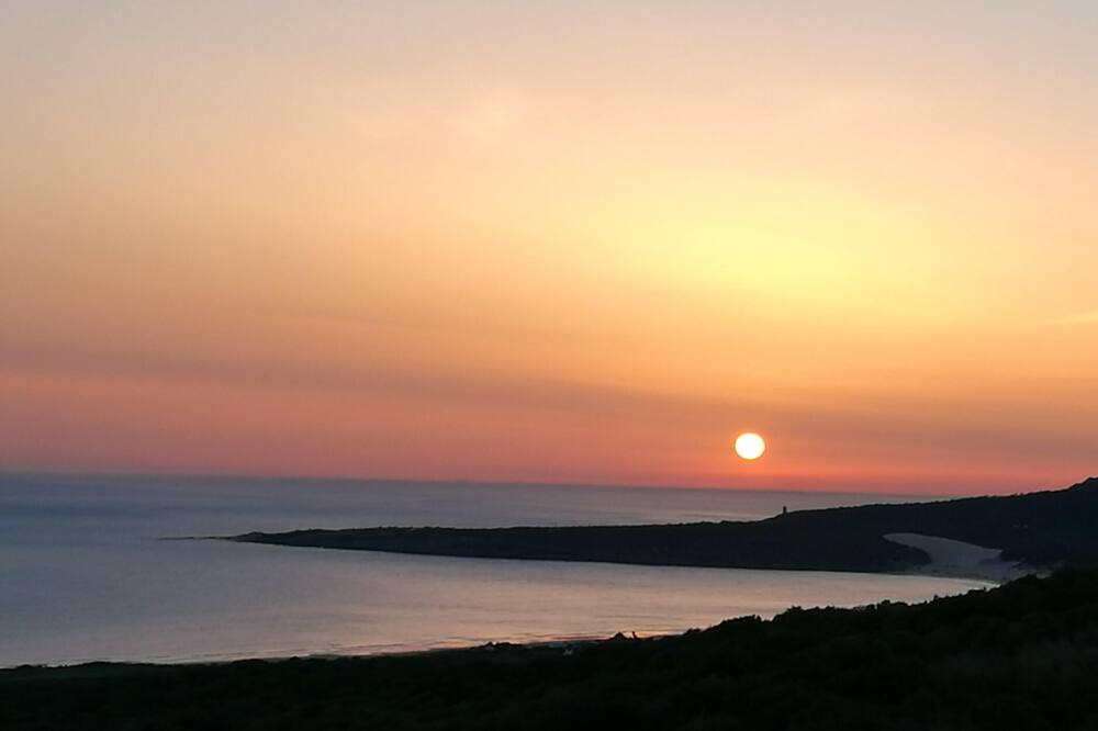Photo of Others in Bolonia
